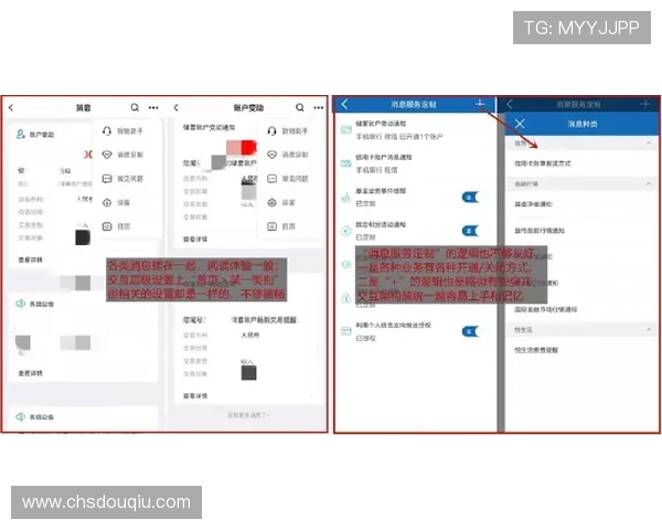 提升游戏体验的斗球客服服务流程，确保每位玩家都能享受到专业的技术支持
