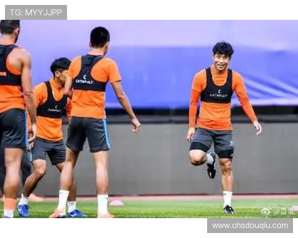 斗球看球赛：观赛过程中常见问题解答与专业建议分享