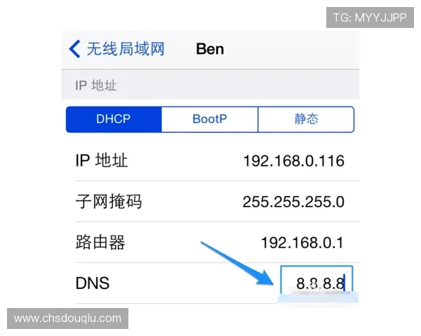苹果用户如何通过正规渠道下载斗球看球app，保障账号安全和观看体验